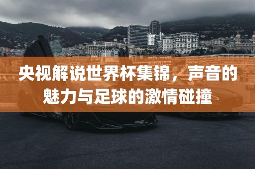 央视解说世界杯集锦，声音的魅力与足球的激情碰撞