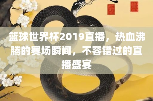 篮球世界杯2019直播，热血沸腾的赛场瞬间，不容错过的直播盛宴