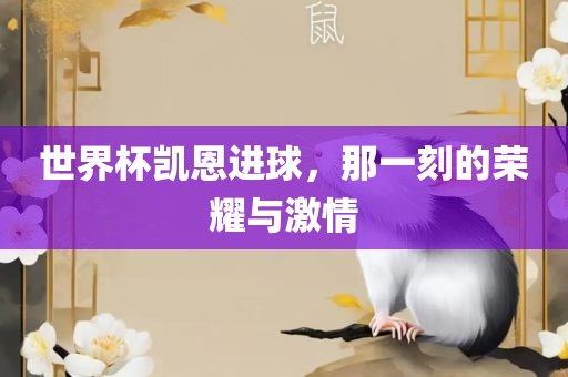 世界杯凯恩进球，那一刻的荣耀与激情