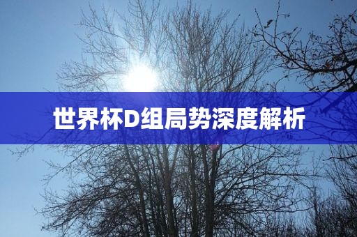 深度解析 第3页