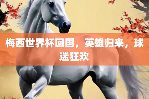 梅西世界杯回国，英雄归来，球迷狂欢