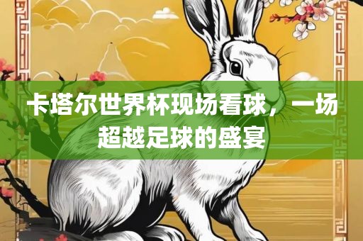 卡塔尔世界杯现场看球，一场超越足球的盛宴