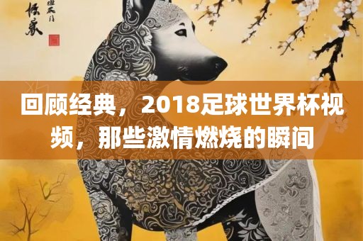 回顾经典，2018足球世界杯视频，那些激情燃烧的瞬间