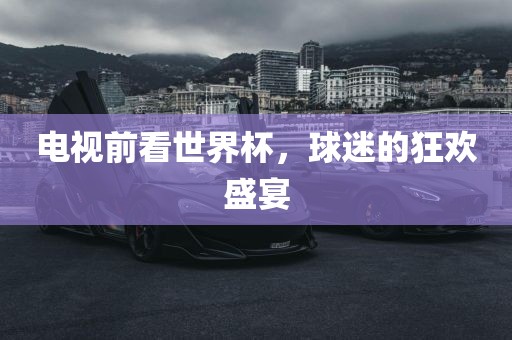 电视前看世界杯，球迷的狂欢盛宴