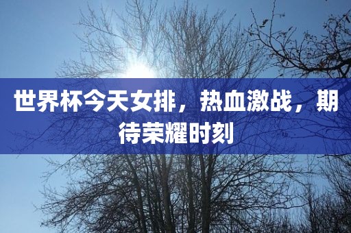 世界杯今天女排，热血激战，期待荣耀时刻