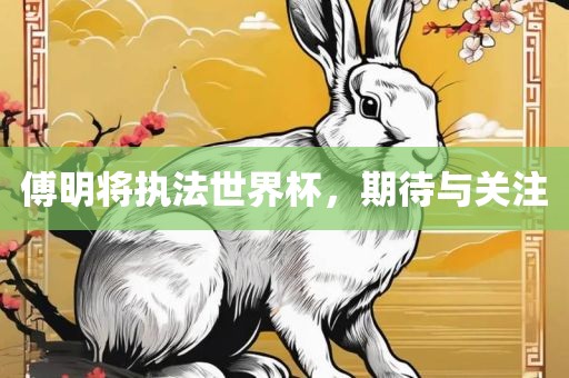 傅明将执法世界杯，期待与关注金炬实业股份有限公司