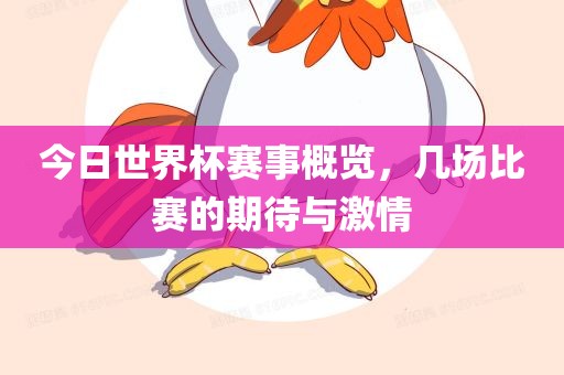 今日世界杯赛事概览，几场比赛的期待与激情