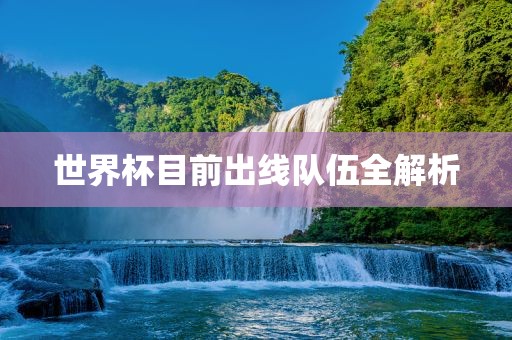 世界杯目前出线队伍全解析