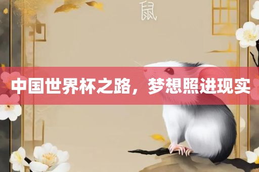 中国世界杯之路，梦想照进现实