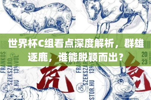 世界杯C组看点深度解析，群雄逐鹿，谁能脱颖而出？