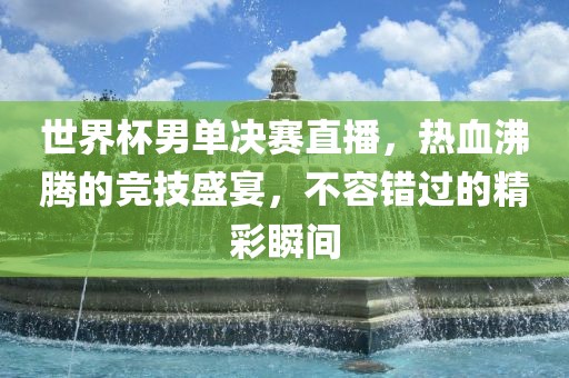 世界杯男单决赛直播，热血沸腾的竞技盛宴，不容错过的精彩瞬间金炬实业股份有限公司