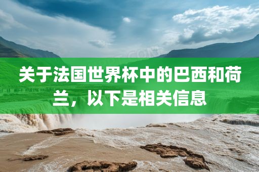 关于法国世界杯中的巴西和荷兰，以下是相关信息