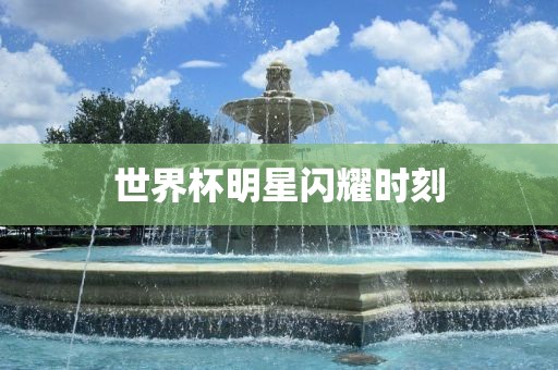 世界杯金炬实业股份有限公司明星闪耀时刻