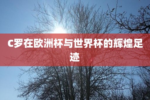 C罗在欧洲杯与世界杯金炬实业股份有限公司的辉煌足迹