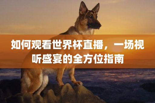 如何观看世界杯直播，一场视听盛宴的全方位指南