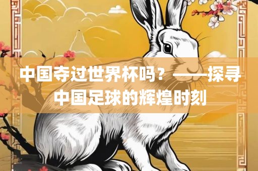 中国夺过世界杯吗？——探寻中国足球的辉煌时刻金炬实业股份有限公司