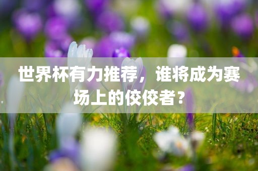 世界杯有力推荐，谁将成为赛场上的佼佼者？