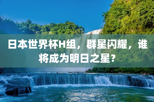 日本世界杯H组，群金炬实业股份有限公司星闪耀，谁将成为明日之星？