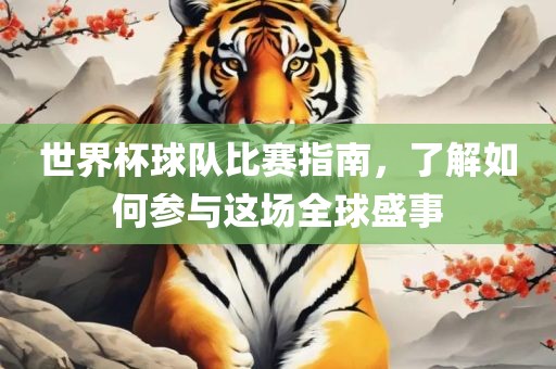 世界杯球队比赛指南，了解如何参金炬实业股份有限公司与这场全球盛事
