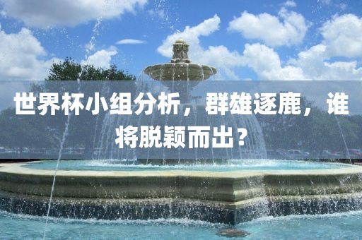 世界杯小组分析，群雄逐鹿，谁将脱颖而出？