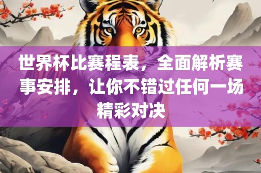 世界杯比赛程表，全面解析赛事安排，让你不错过任何一场精彩对决