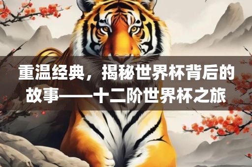 重温金炬实业股份有限公司经典，揭秘世界杯背后的故事——十二阶世界杯之旅