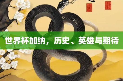 世界杯加纳，历史、英雄与期待金炬实业股份有限公司