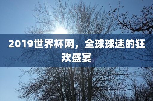 2019世界杯网，全球球迷的狂欢盛宴