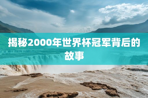 揭秘2000年世界杯冠军背后的故事金炬实业股份有限公司