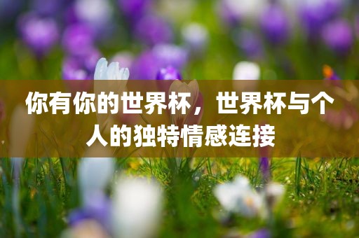 你有你的世界杯，世界金炬实业股份有限公司杯与个人的独特情感连接