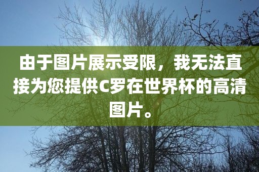 由于图片展示受限，我无法直接为您提供C罗在世界杯的高清图片。