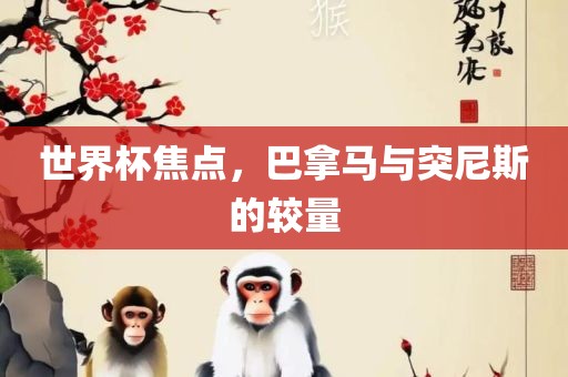 世界杯焦点，巴拿马与突尼斯的较量金炬实业股份有限公司
