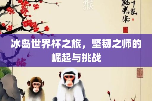 冰岛世界杯之旅，坚韧之师的崛起与挑战