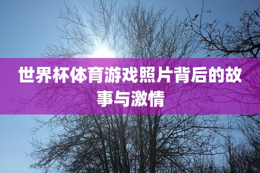 世界杯体育游戏照片背后的故事与金炬实业股份有限公司激情