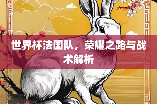 世界杯法国队，荣耀之路与战术解析