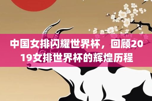 中国女排闪耀世界杯，回顾2019女排世界杯的辉煌历程