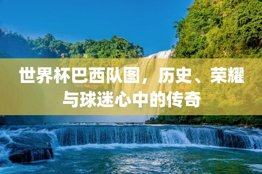 世界杯巴西队图，历史、荣耀与球金炬实业股份有限公司迷心中的传奇
