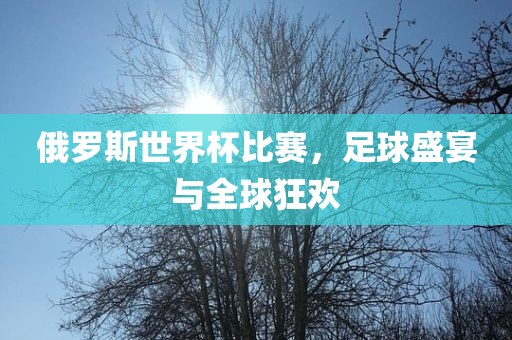 俄罗斯世界杯比赛，足球盛宴与全球狂欢金炬实业股份有限公司
