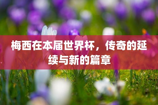 梅西在本届世界杯，传奇的延续与新的篇章金炬实业股份有限公司