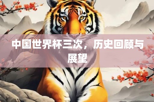 中国世界杯三次，历史回顾与展望