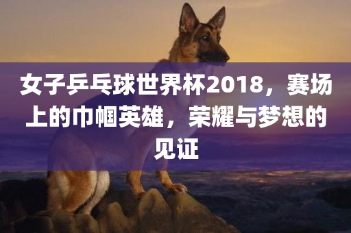 女子乒乓球世界杯2018，赛场上的巾帼英雄，荣耀与梦想的见证金炬实业股份有限公司