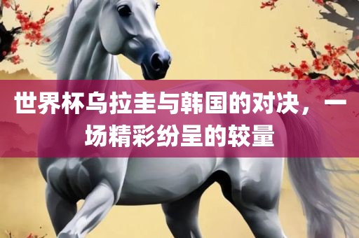 世界杯乌拉圭与韩国的对决，一场精彩纷呈的较量金炬实业股份有限公司