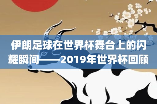 伊朗足球在世界杯舞台上的闪耀瞬间——2019年世界杯回顾金炬实业股份有限公司