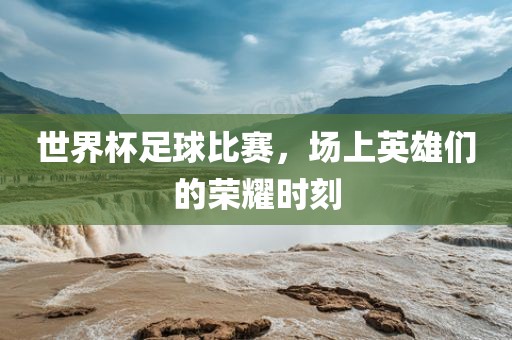 世界杯足球比赛，场上英雄们的荣耀时刻