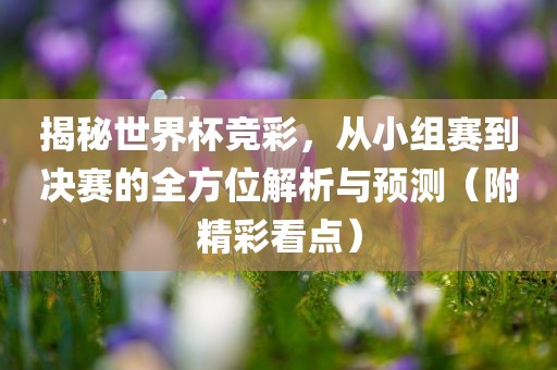 揭秘世界杯竞彩，从小组赛到决赛的全方位解析与预测（附精彩看点）
