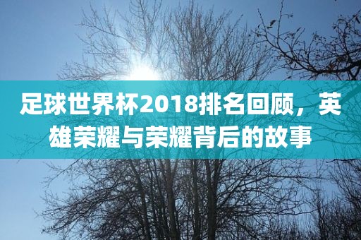 足球世界杯2018排名回顾，英雄荣耀与荣耀背后的故事