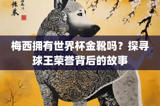 梅西拥有世界杯金靴吗？探寻球王荣誉背后的故事