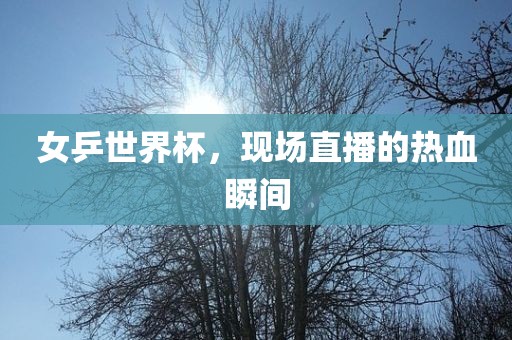 女乒世界杯，现场直播的热血瞬间