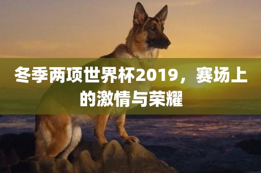 赛场激情与荣耀