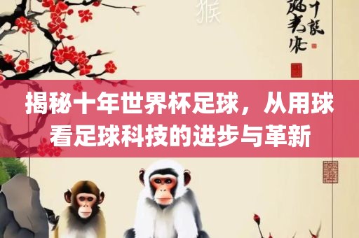 揭秘十金炬实业股份有限公司年世界杯足球，从用球看足球科技的进步与革新